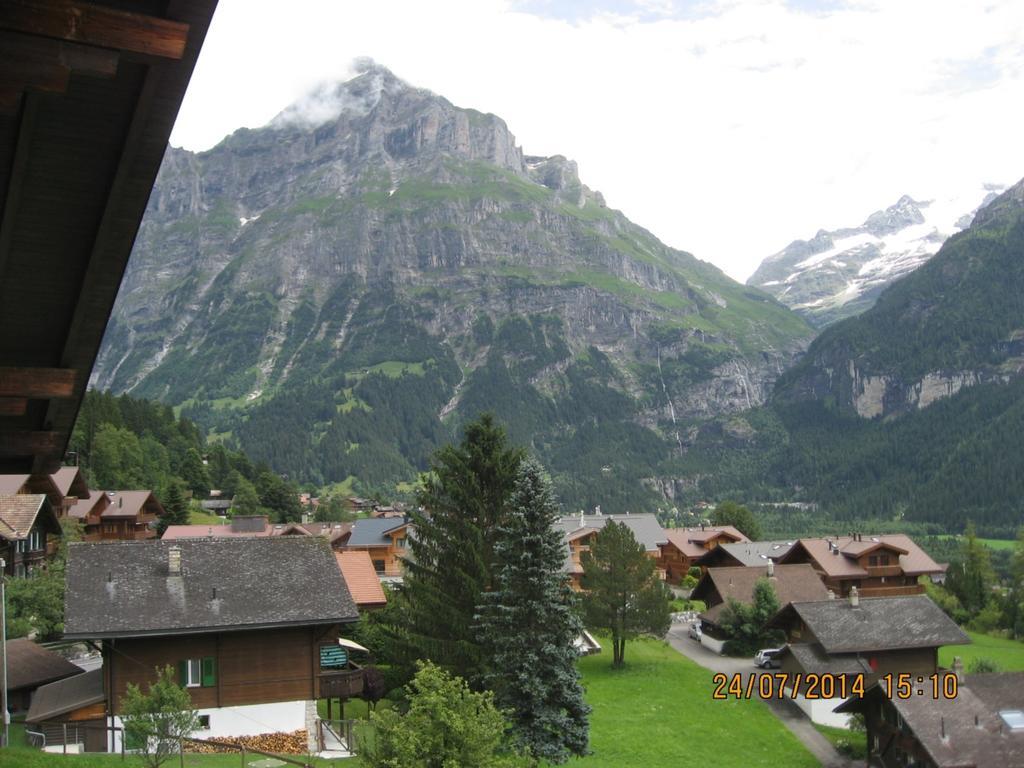 Eigerblick
